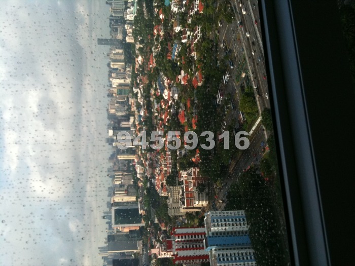 Sky@Eleven (D11), Condominium #454932